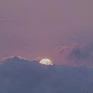 美女裸体娱乐在线
