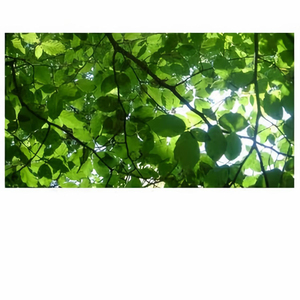 美女裸体娱乐在线
